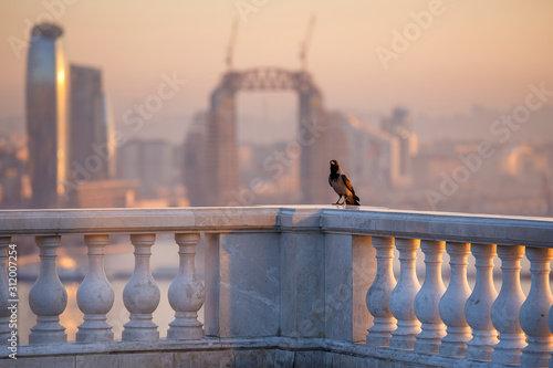 A crow sits on a marble bor...