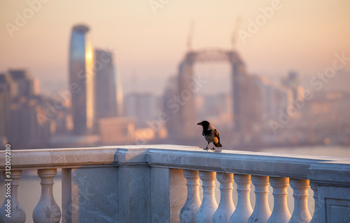 A crow sits on a marble bor...