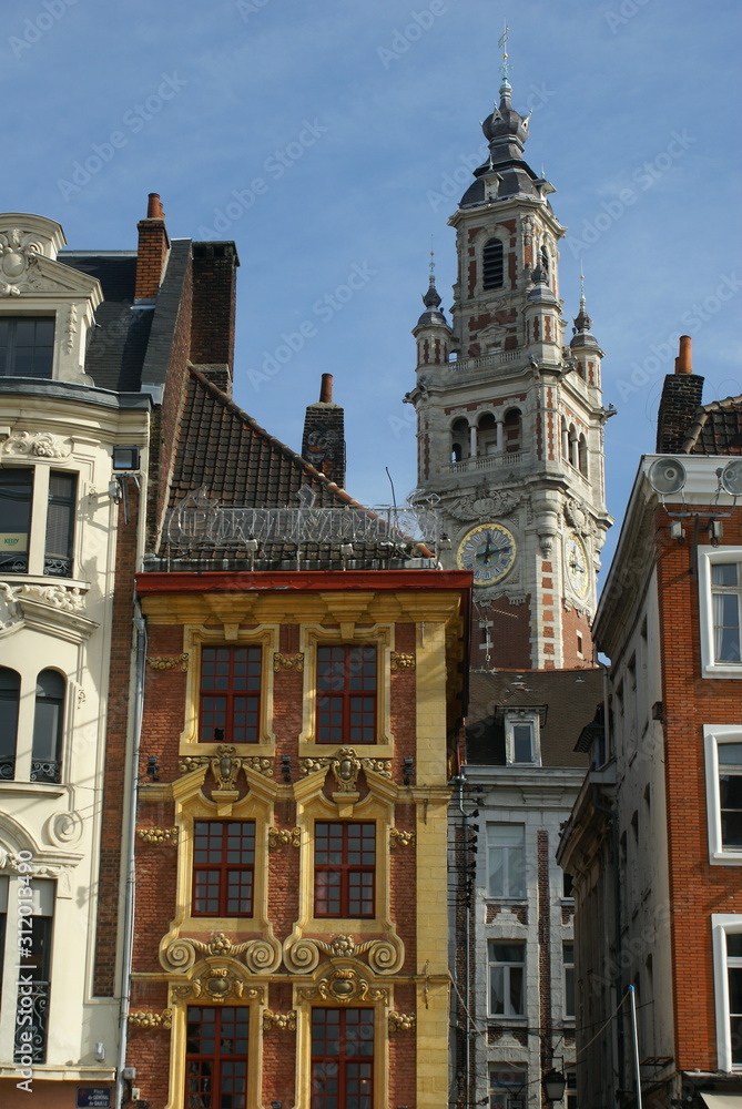 Old buildings in Lille, France