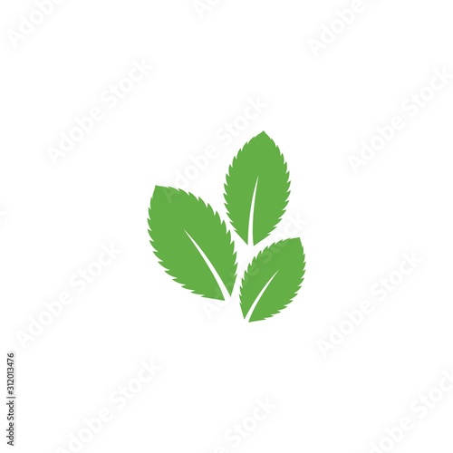 Mint leaf logo