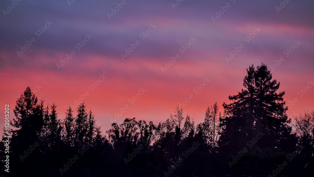 Sunset clouds with silhouette of evergreen forest. Sunset clouds with silhouette of evergreen forest.