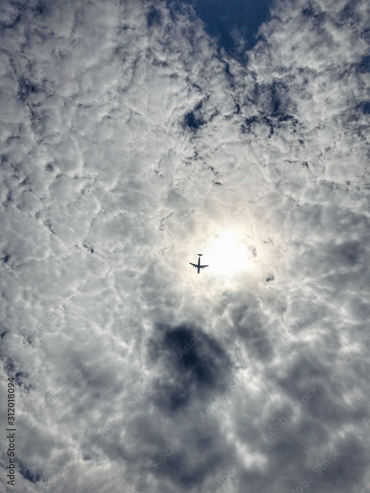 Fototapeta premium Flying higher 