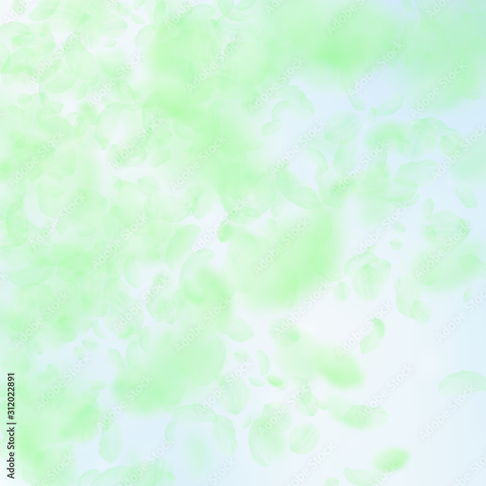 Green flower petals falling down. Resplendent roma Green flower petals falling down. Resplendent roma