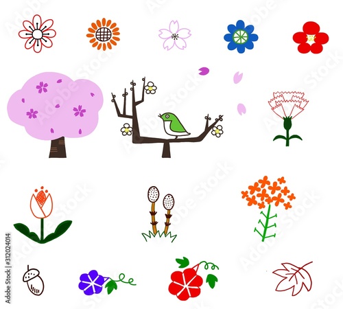 季節の草花　素材
