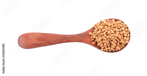 Coriander seed in a wooden spoon isolated on a white background