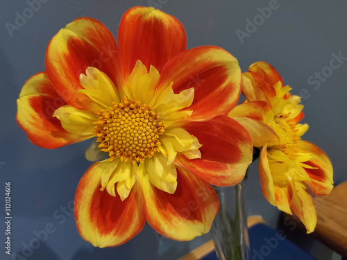 Flower missing petal