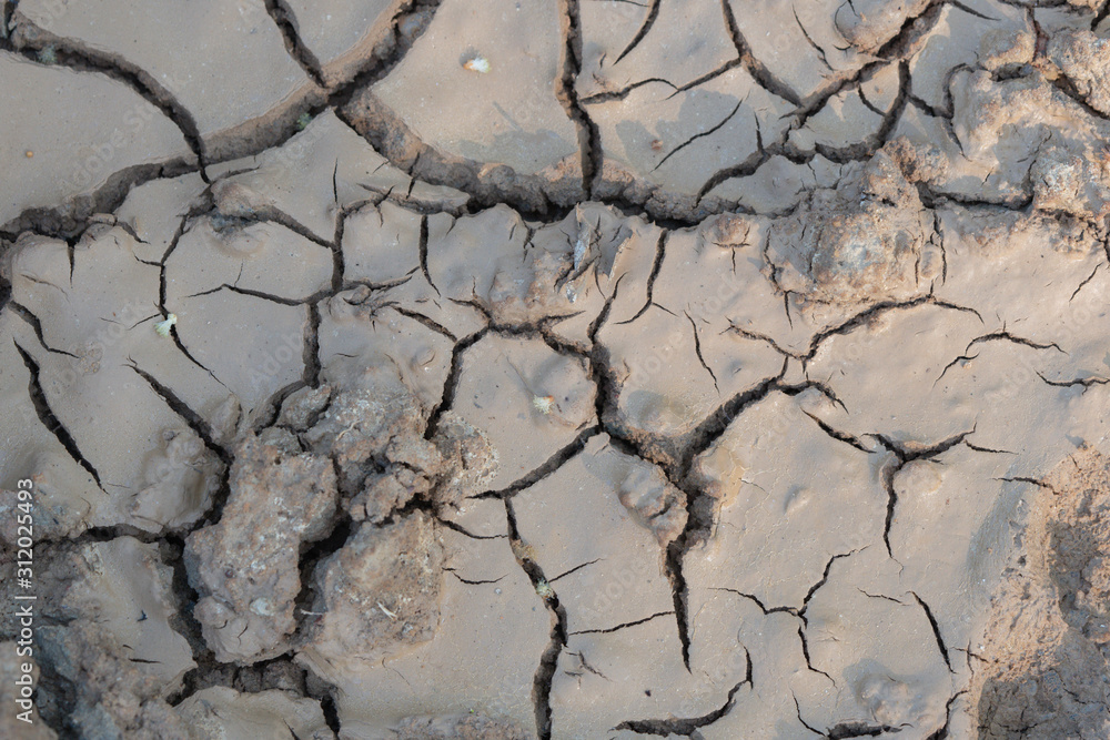 cracks in ground, texture background, no water without rain cracks in ground, texture background, no water without rain