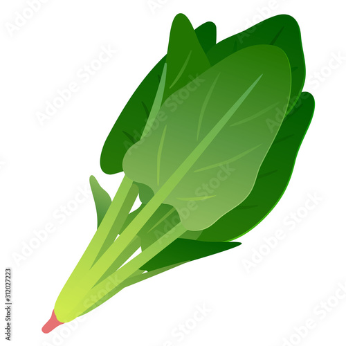 ほうれん草