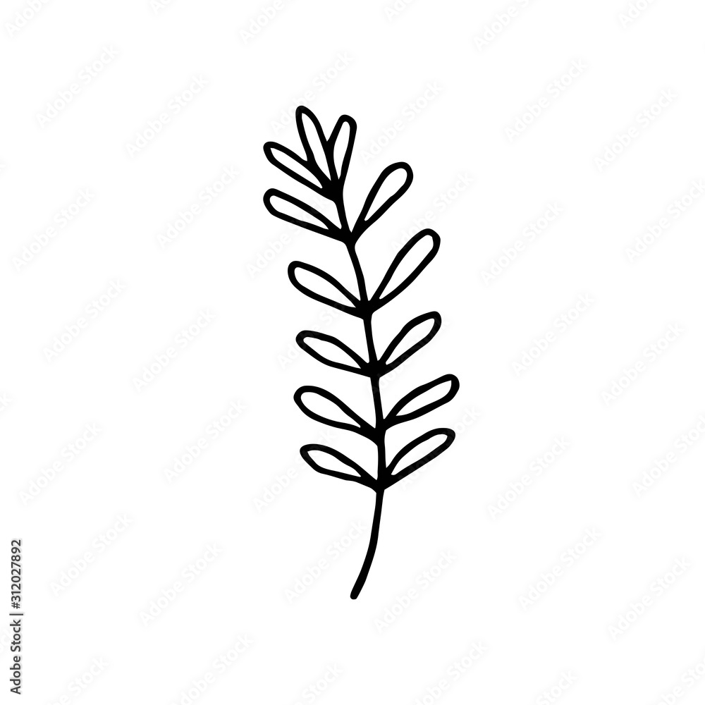 Fototapeta premium Plant vector doodle illustration. Herbs, flowers. Natural ingredient, organic, vegan cosmetics. Sticker, icon, hand drawn illustration.
