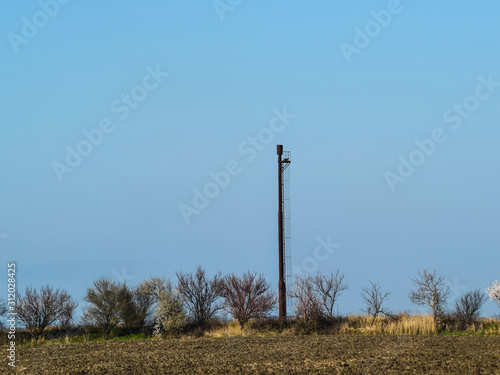 Separation station for oil and gas treatment. Oil and gas equipm photo