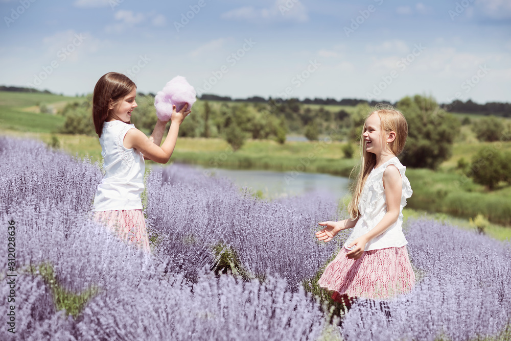 Children in lavender field catching cloud of wool. Children in lavender field catching cloud of wool.