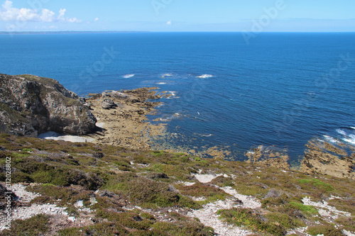 atlantic littoral (cap de la chèvre) in brittany (france) © frdric