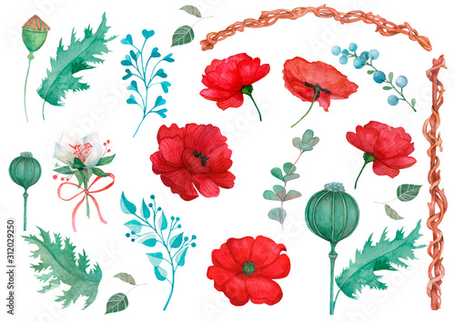 Watercolor set of poppy flowers and fruits.