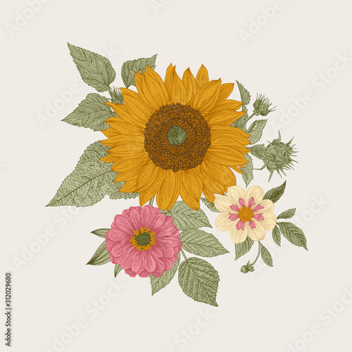 Vintage floral illustration. Autumn. Sunflower, Dahlia and Zinnia. Color