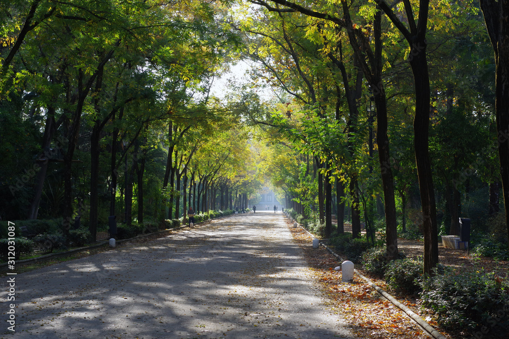 Promenade dans le parc sévillan Maria Luisa Promenade dans le parc sévillan Maria Luisa