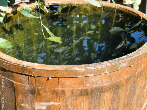 Wooden barrel filled with water photo