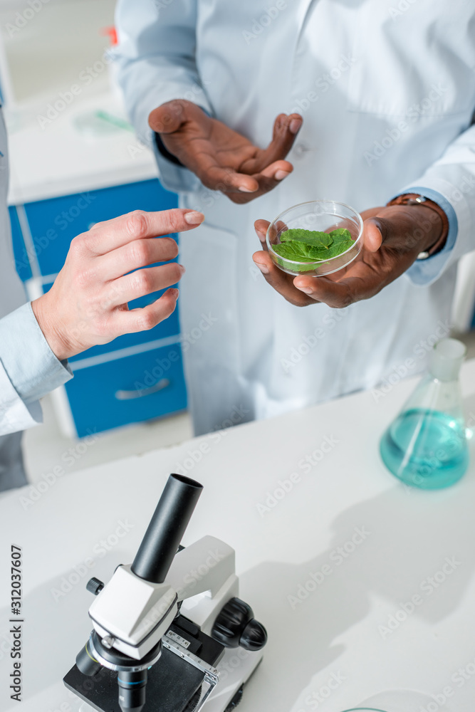 Fototapeta premium cropped view of multicultural biologists looking at leaves in lab