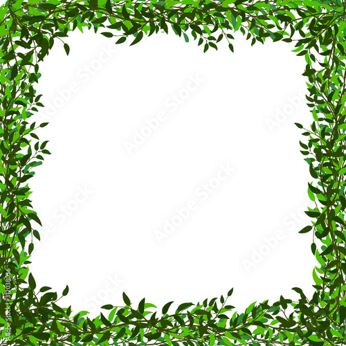 square frame of branches with leaves on white background