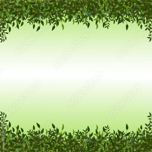  frame of branches with leaves on the background with a green and white gradient