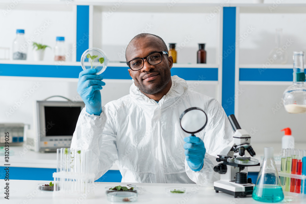 smiling african american biologist holding magnifying glass and leaves smiling african american biologist holding magnifying glass and leaves