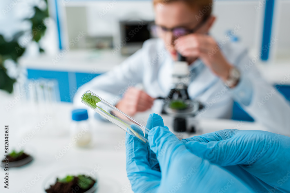Fototapeta premium cropped view of biologist holding test tube with leaves