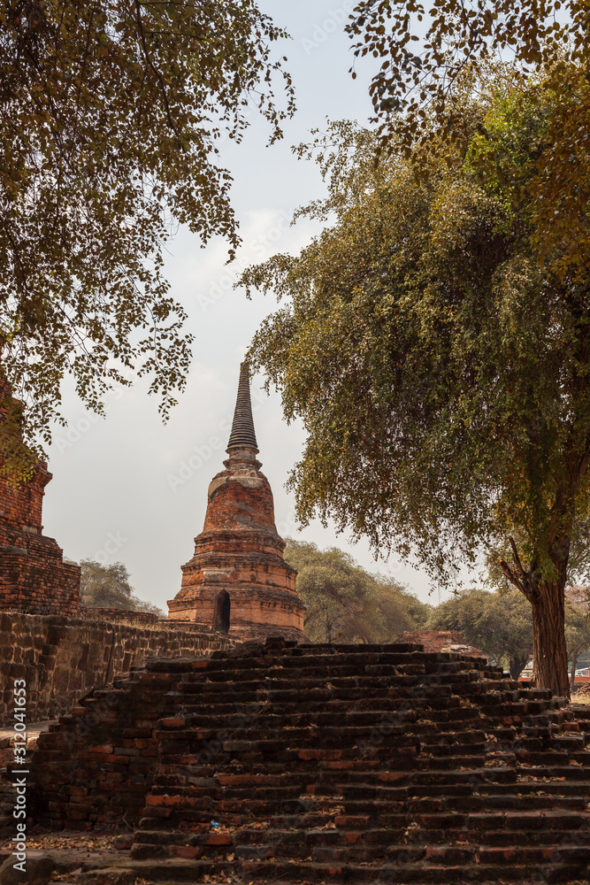 Stupa or Chedi as it called at Wat Ratchaburana with old trees around it, Thailand Ayutthaya february 2015