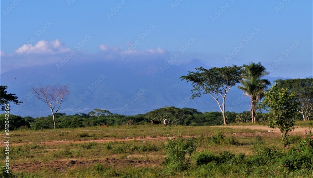 Obraz premium Puerto Vallarta