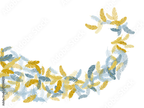 Falling feather elements soft vector design.