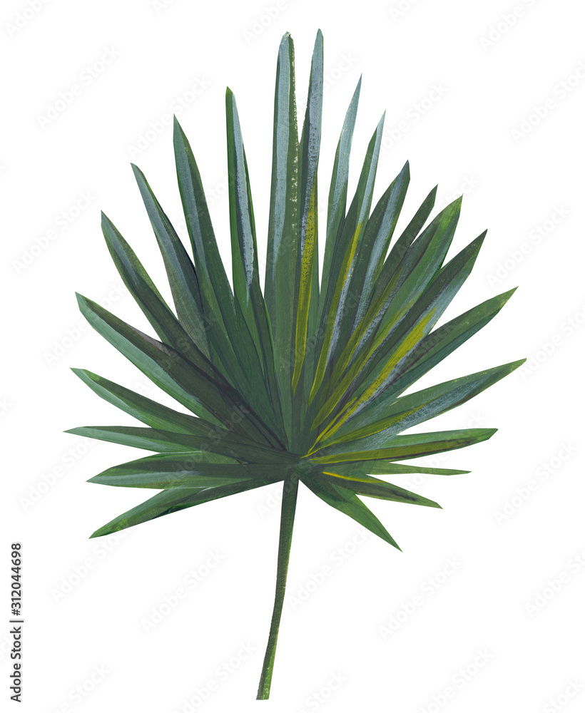 Tropical leaves hand drawn isolated on a white background. Stock illustration drawn by gouache exotic plants Tropical leaves hand drawn isolated on a white background. Stock illustration drawn by gouache exotic plants