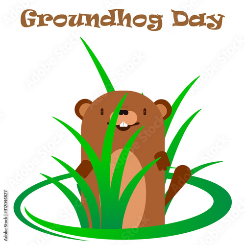 Groundhog in a bush of grass, vector art illustration.