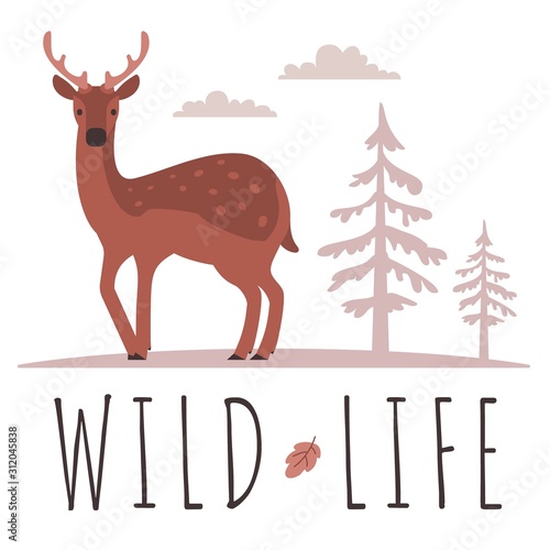 Vector illustration of beautiful female deer with horn and spot
