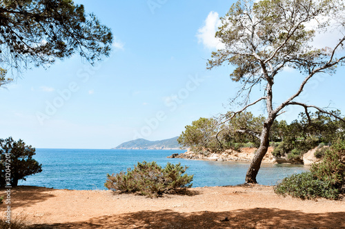 northern coast of Ibiza Island, Spain.