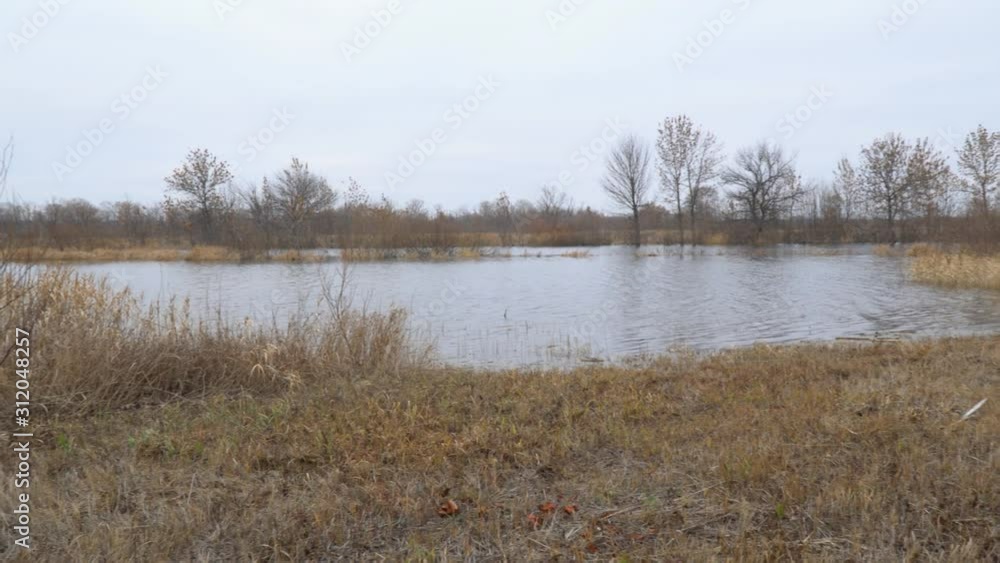 Spring flood on the river. High water. Spring landscape. Camera panning Spring flood on the river. High water. Spring landscape. Camera panning