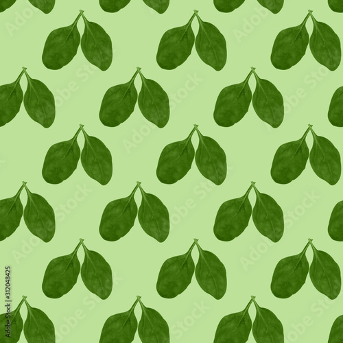 Seamless pattern of spinach leaves on a green background.