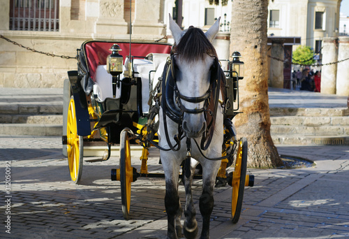 Cheval tirant une calèche à Séville © Clemence Béhier
