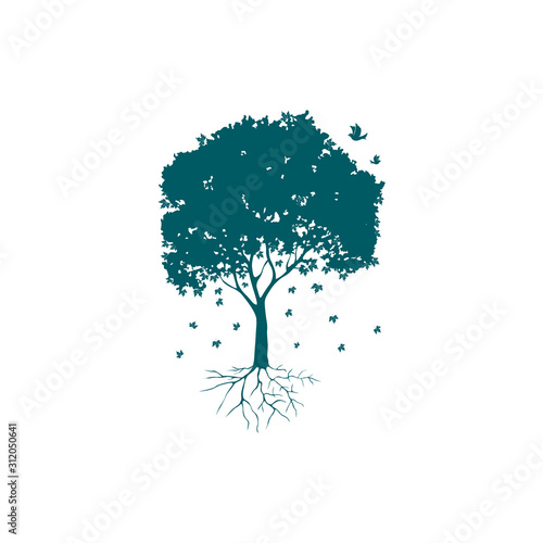 Sycamore tree, fallen leaves and bird. Vector illustration.