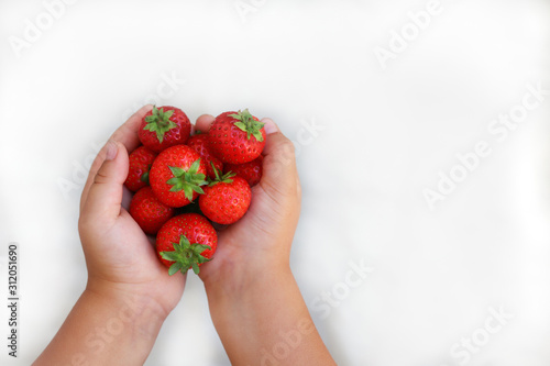 Strawberry in the hands of a child.  Hands lie on a white cotton material. Text space. 