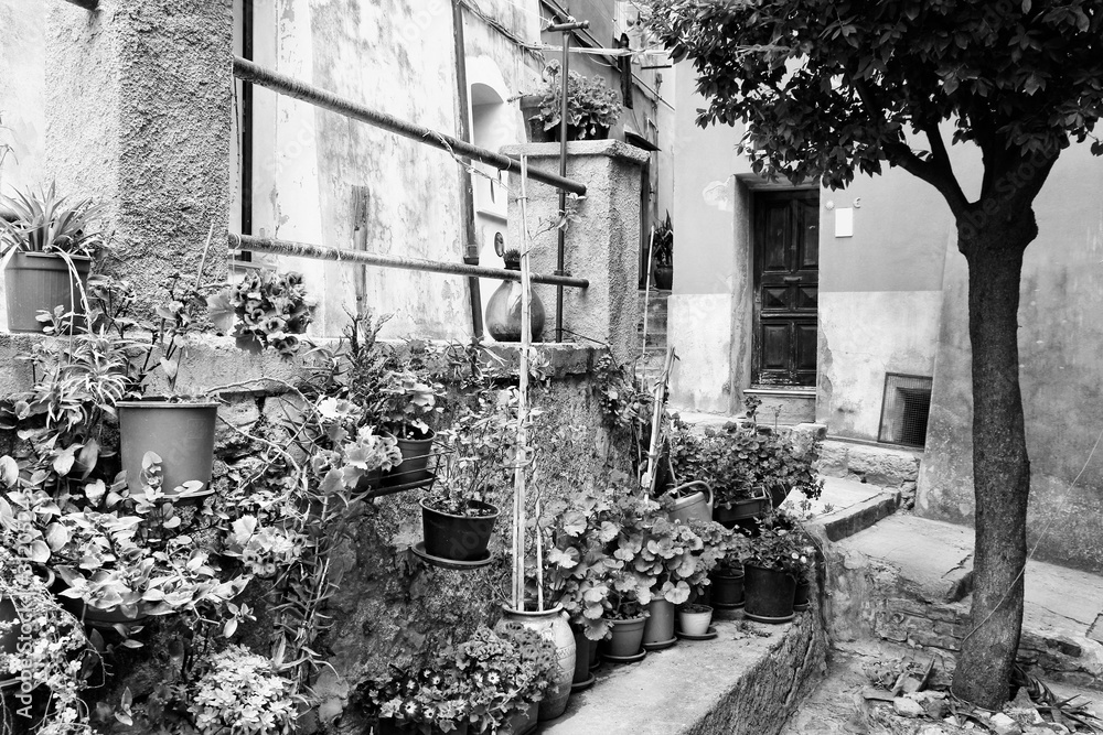 Portovenere, Italy. Black and white vintage toned.
