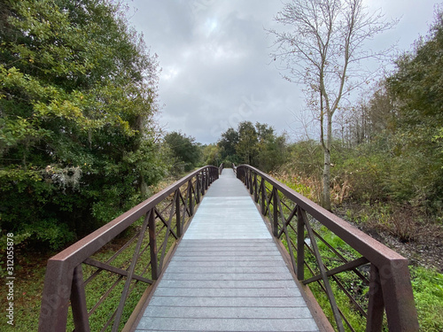 Footbridge across wetland on woodland trail