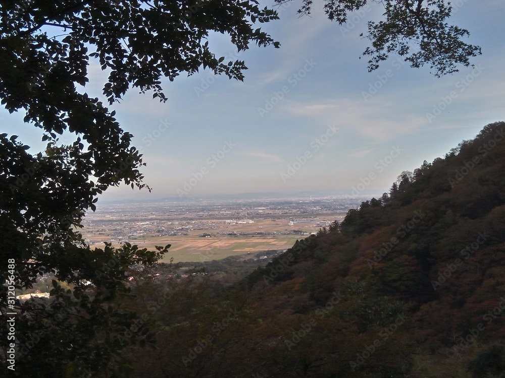 landscape with tree and mountains