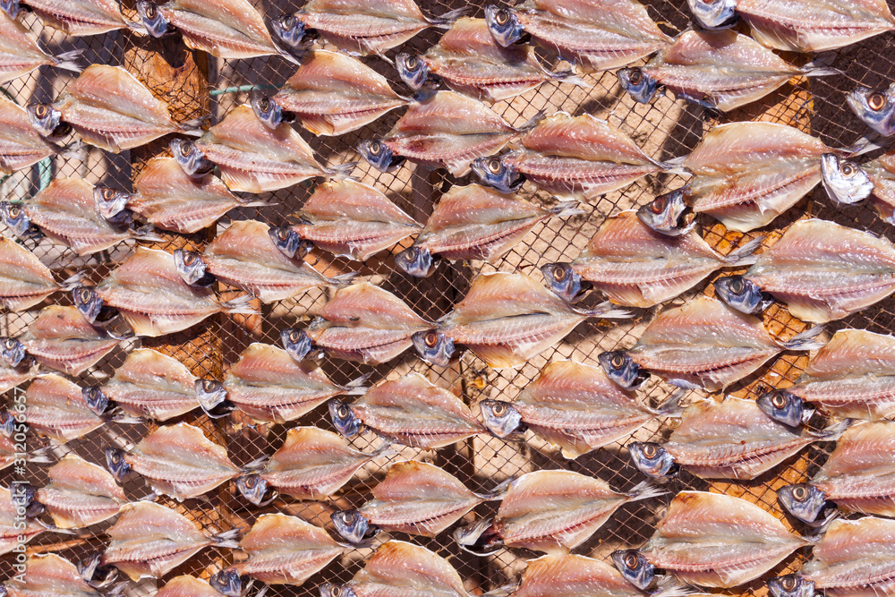 Drying Fish in Nazare, Portugal