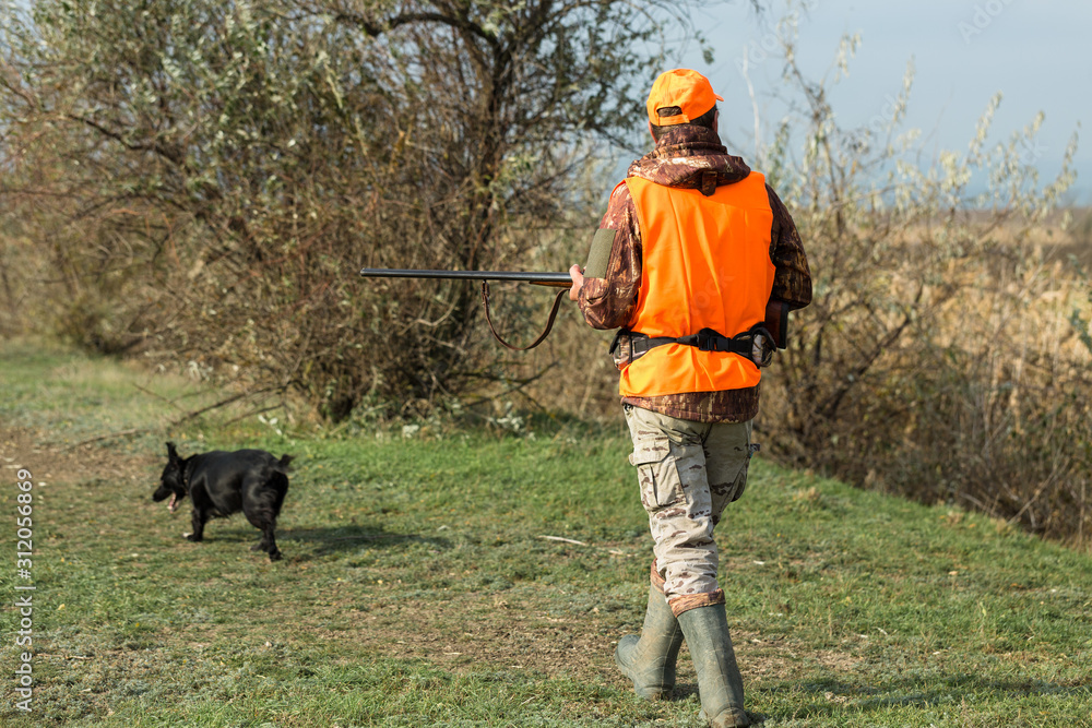A man with a gun in his hands and an orange vest on a pheasant hunt in a wooded area in cloudy weather. Hunter with dogs in search of game. A man with a gun in his hands and an orange vest on a pheasant hunt in a wooded area in cloudy weather. Hunter with dogs in search of game.