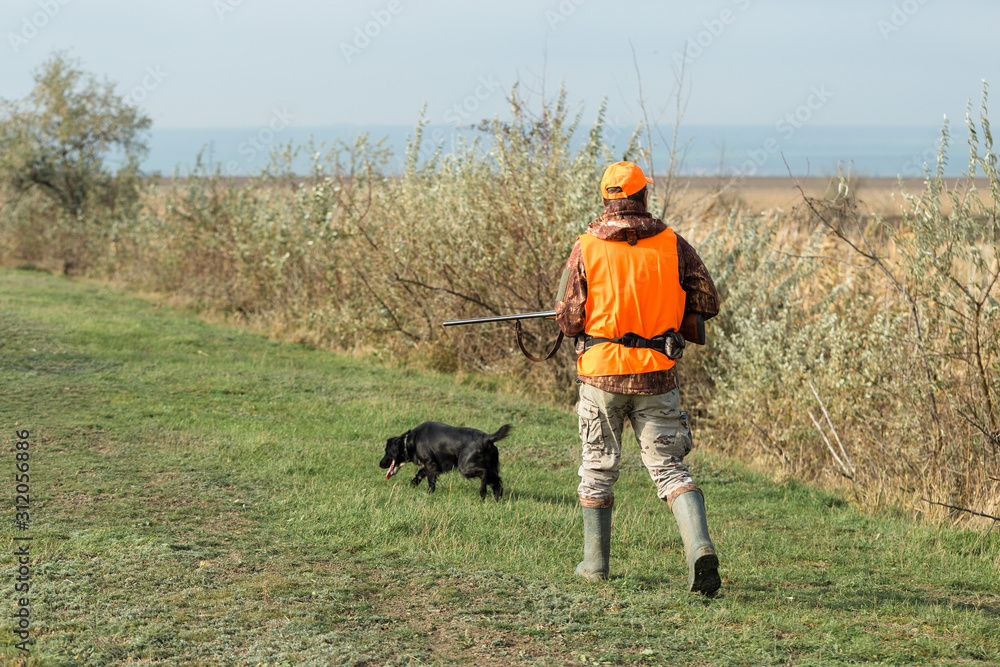 A man with a gun in his hands and an orange vest on a pheasant hunt in a wooded area in cloudy weather. Hunter with dogs in search of game. A man with a gun in his hands and an orange vest on a pheasant hunt in a wooded area in cloudy weather. Hunter with dogs in search of game.