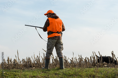 A man with a gun in his hands and an orange vest on a pheasant hunt in a wooded area in cloudy weather. Hunter with dogs in search of game.