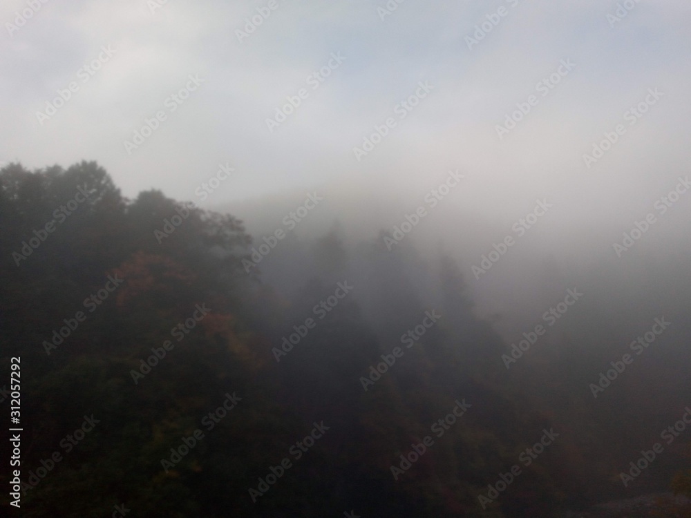 fog in mountains