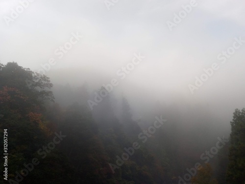 fog in mountains