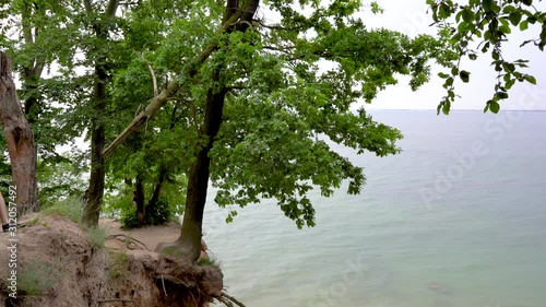 Gdynia cliff in Poland, a log where wedding couples take pictures captured with full frame camera and gimbal with scenery in the background. Dark clouds before storm.
