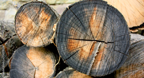 Logs are stacked together. Close-up view.