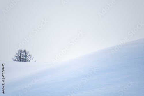 雪の丘 © 大西 親文