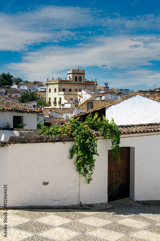 Fototapeta premium paseo por el municipio de Almonaster la Real en Huelva, Andalucía